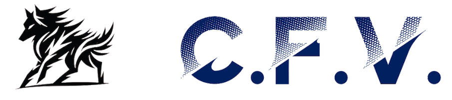 C.F.V. Consulting